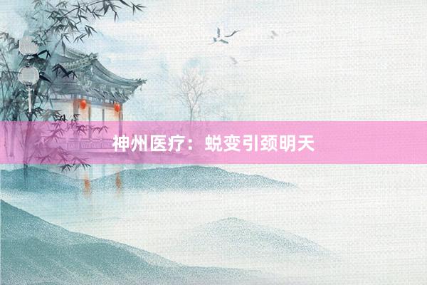 神州医疗：蜕变引颈明天