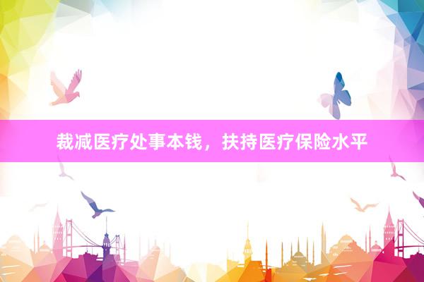 裁减医疗处事本钱，扶持医疗保险水平